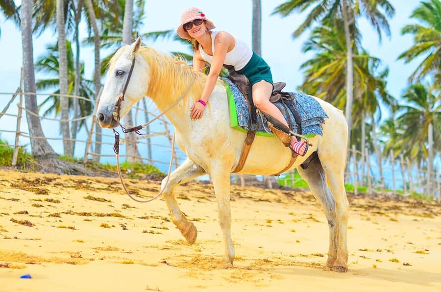 Punta Cana: Macao Beach & Forest Horseback Riding Tour - Coffee Tasting and Shopping Stop That Actually Fits the Day