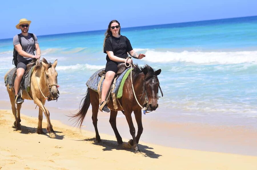 Punta Cana: Macao Beach & Forest Horseback Riding Tour - Hotel Pickup and the Smooth Start in Punta Cana