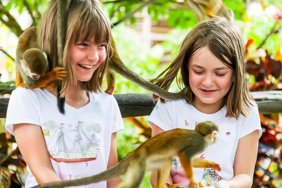 Punta Cana: Monkey Land Half-Day Safari and Plantation - Key Things I’d Plan Around