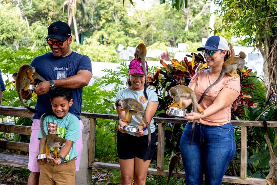 Punta Cana: Monkey Land Half-Day Safari and Plantation - The Drive from Punta Cana: Pickup Timing, Transport Style, and Real Expectations