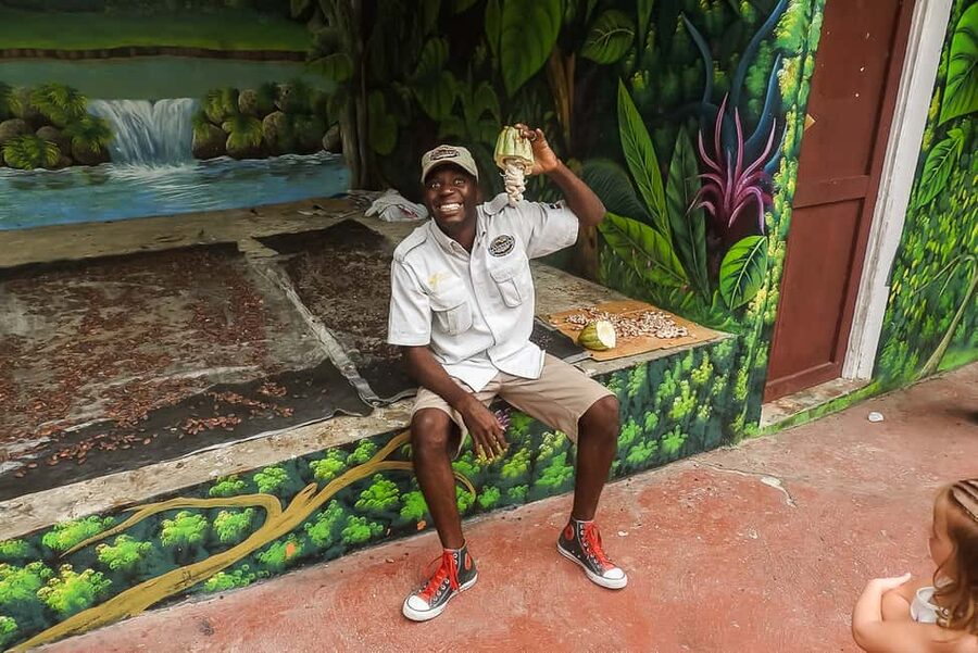 Punta Cana: Monkey Land Half-Day Safari and Plantation - Who Should Book This Tour, and Who Should Skip It