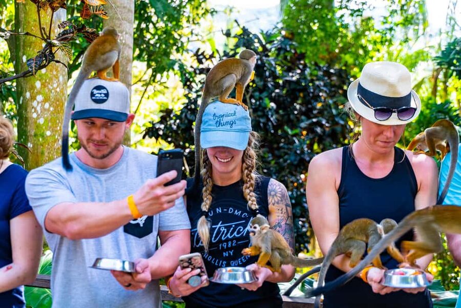 Punta Cana: Monkey Land Half-Day Safari and Plantation - Should You Book Punta Cana Monkey Land Safari and Plantation?