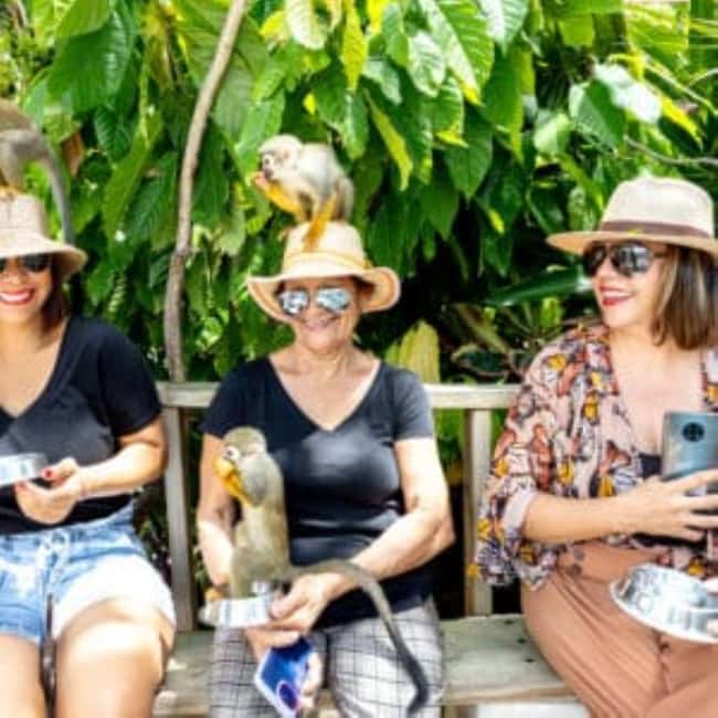 Punta Cana: Monkey Sanctuary Half-Day Tour - The coconut house stop, coffee and chocolate with a local lens