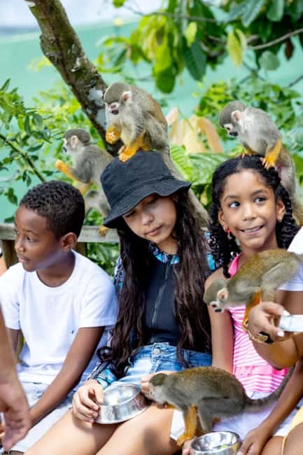Punta Cana: Monkey Sanctuary Half-Day Tour - The Punta Cana to Bonao safari drive, and why it matters