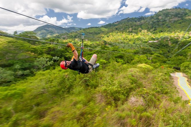 Punta Cana Monkeyland and Zipline Two Adventures in One Day - Two Adventures, One Long Punta Cana Day That Feels Like a Win