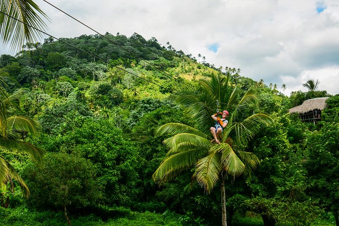 Punta Cana Monkeyland and Zipline Two Adventures in One Day - Monkeyland: Squirrel Monkeys, Feeding Time, and Real Interaction