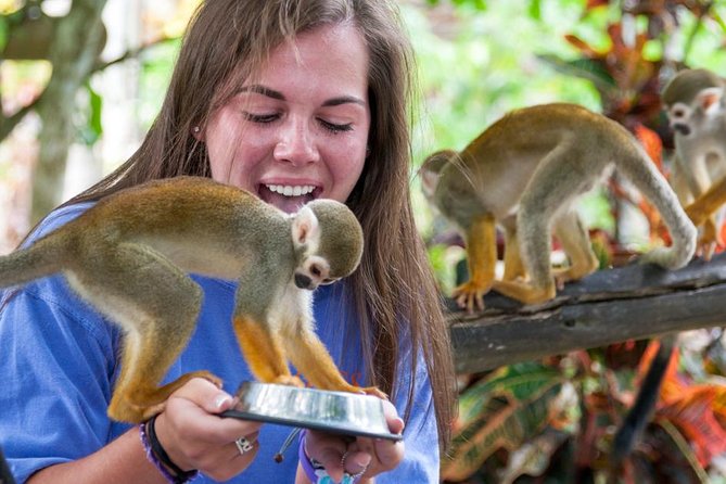 Punta Cana Monkeyland and Zipline Two Adventures in One Day - Safety, Gear, and the Reality of a Big Adventure Day