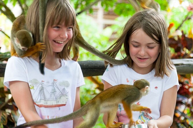 Punta Cana Monkeyland and Zipline Two Adventures in One Day - Price and Value: Where Your $115 Really Goes