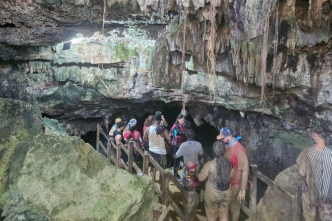 Punta Cana Off-Road Buggy Tour Macao Beach and Cave Experience - Organic farm tastings at Boogies Punta Cana