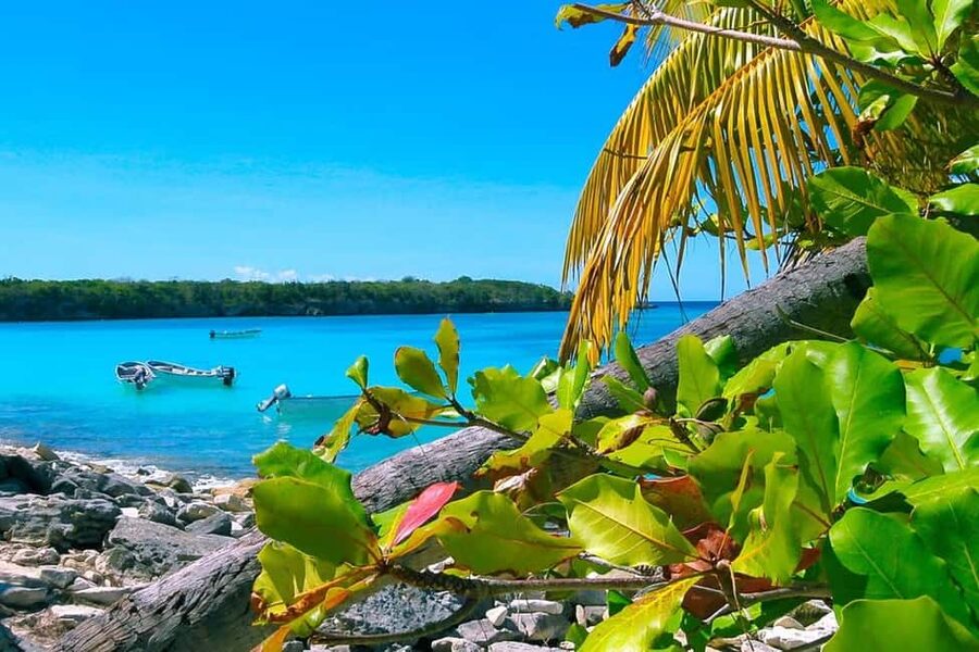 Punta Cana or La Romana: Catalina Island Tour and Snorkeling - Key Points You Should Know Before You Go