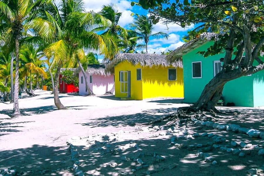 Punta Cana or La Romana: Catalina Island Tour and Snorkeling - Snorkeling the Coral Wall: Gear, Reef Time, and Marine Life