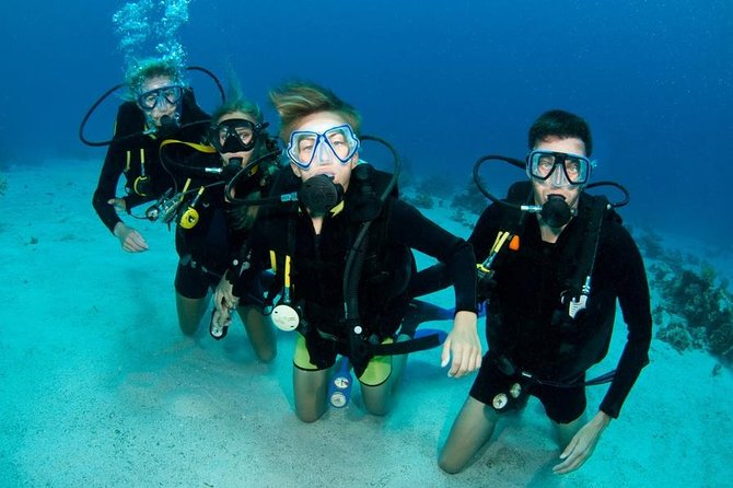 Punta Cana: PADI Open Water Scuba Certification (2–3 Days) - Key points to know before you go