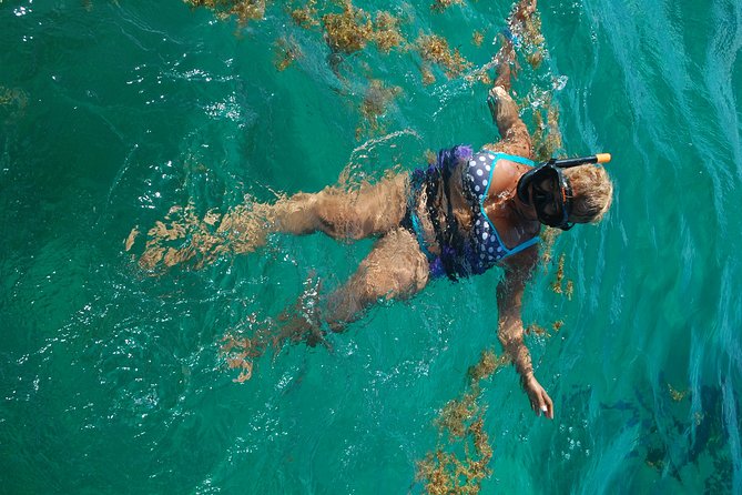 Punta Cana Party Boat:open bar - Who should book Punta Cana Paradise Tour’s VIP boat