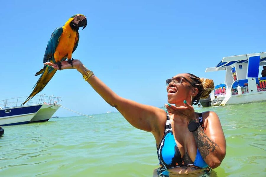 Punta Cana: Party Boat with Snorkeling, Open Bar And Hip Hop - Dolphin Island Viewing: The Right Kind of Wildlife Moment