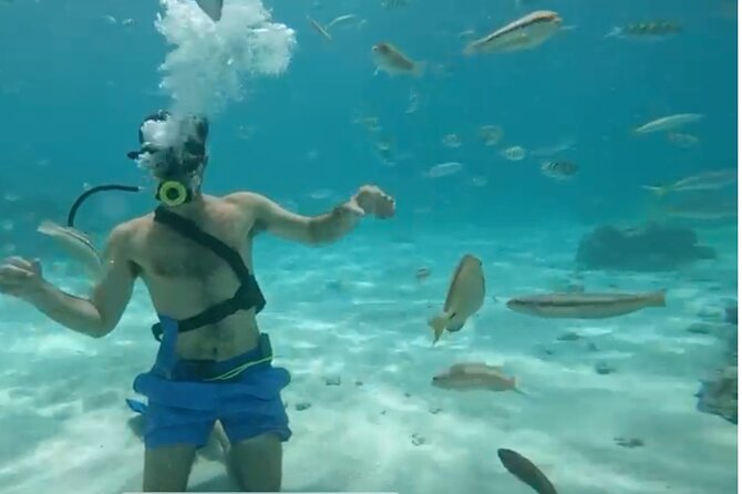Punta Cana Party Cruise with Snorkeling, Hooka Diving and Parasailing - A Four-Hour Punta Cana Party Cruise That Actually Packs In Fun