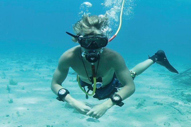 Punta Cana Party Cruise with Snorkeling, Hooka Diving and Parasailing - Snorkeling Over Punta Cana Reefs: What to Expect Underwater