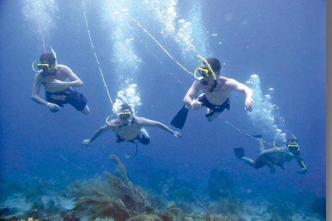 Punta Cana Party Cruise with Snorkeling, Hooka Diving and Parasailing - Price and Value: Is $140 for Snorkel, Hooka, and Parasailing Fair?