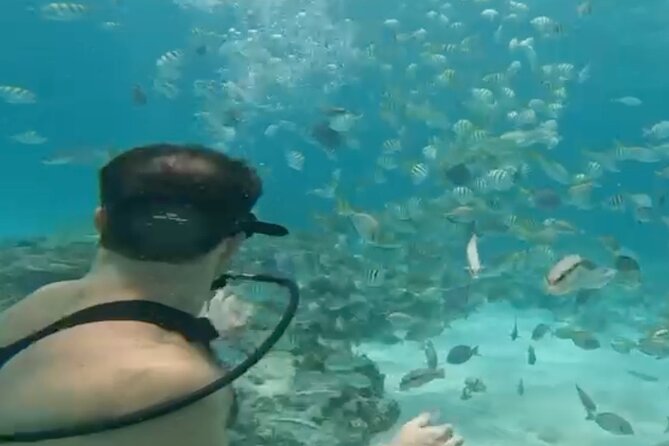 Punta Cana Party Cruise with Snorkeling, Hooka Diving and Parasailing - Onboard Vibes: Music, Open Bar, and a Real Party Tempo