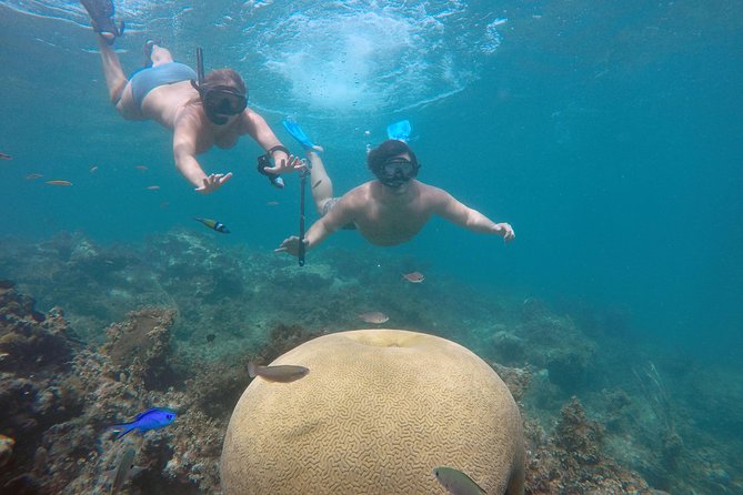 Punta Cana Private Cruise Up To 10 Snorkeling & Seafood lunch - Key points before you go
