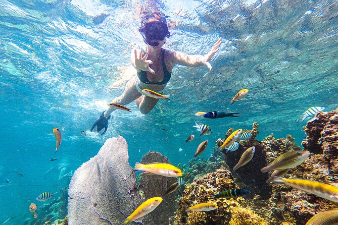 Punta Cana Private Cruise Up To 10 Snorkeling & Seafood lunch - Private catamaran format: why it feels different in Punta Cana
