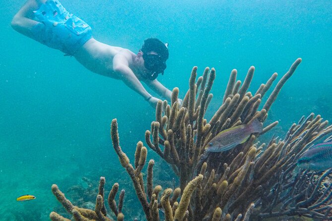Punta Cana Private Cruise Up To 10 Snorkeling & Seafood lunch - Natural pools with shallow water: great for first-timers