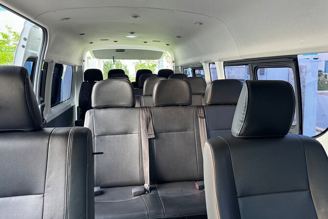 Punta Cana Private Transfer Ariport VIP Service - Potential Drawbacks and How to Handle Them