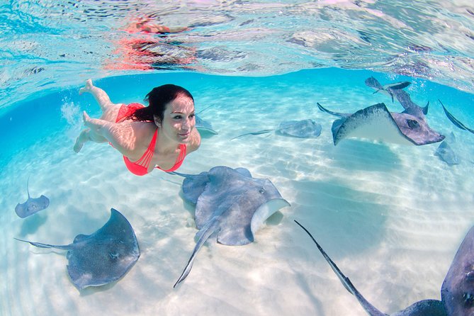 Punta Cana Private Virgen Beach Small & Big Group Snorkel Cruise - Open Bar, Music, and Crew Energy with Carlos and Alex