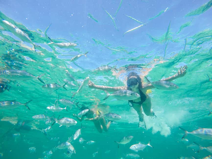 Punta Cana: Reef Explorer Access w/ Sharks & Stingrays Swim - The Floating Island Base: Relaxing Without Checking Out