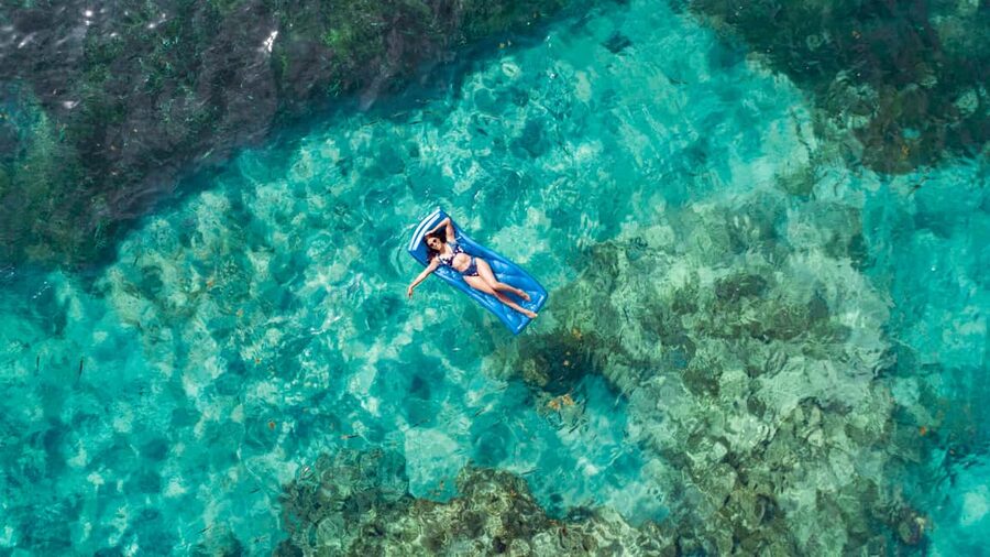 Punta Cana: Reef Explorer Access w/ Sharks & Stingrays Swim - Reef Snorkeling Time: Gear Up and Follow the Guides
