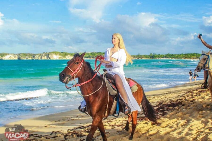 Punta Cana’s Best Sunset Horse Ride - The Dominican Coffee, Cacao, and Mamajuana Tasting Stop