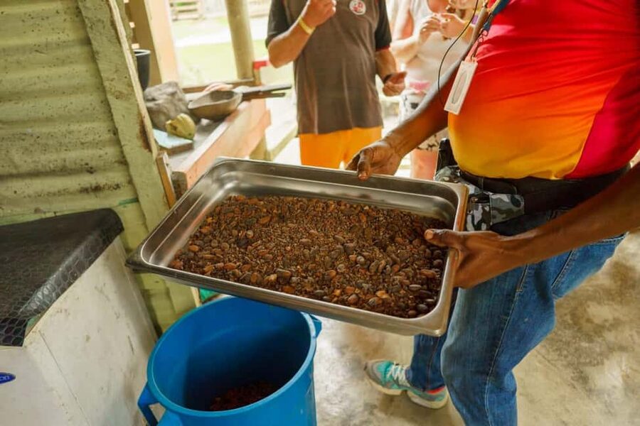 Punta Cana safari experience and historical city tour - Punta Cana safari, but make it cultural, not cookie-cutter