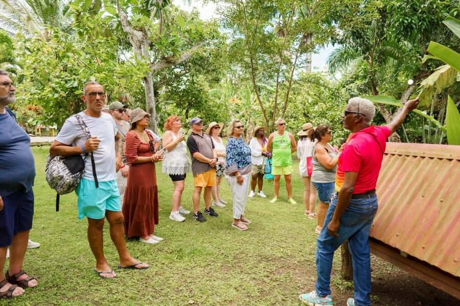 Punta Cana safari experience and historical city tour - Cigar factory experience: learn the process, then roll your own