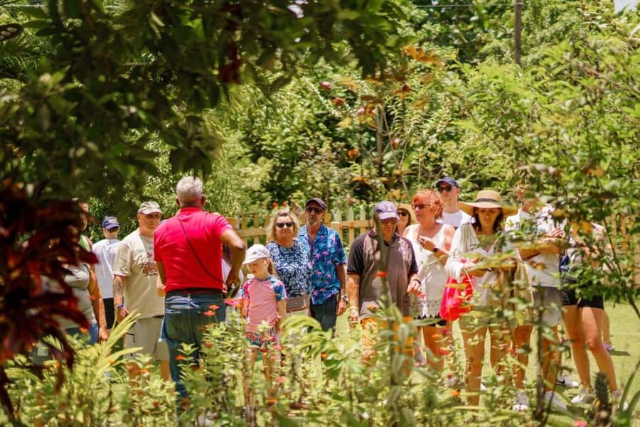 Punta Cana safari experience and historical city tour - A one-hour secret stop and where Macao Beach fits