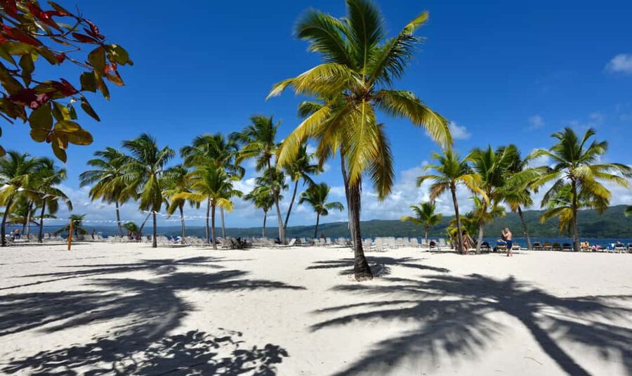 Punta Cana: Samaná Cayo Levantado & El Limón Waterfall Tour - Price and Value: What $99 Actually Buys You