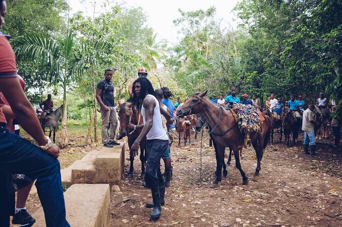 Punta Cana: Samaná, Lemon Falls and Bacardi Island - Lemon Falls: water time, a horse option, and patience on the return