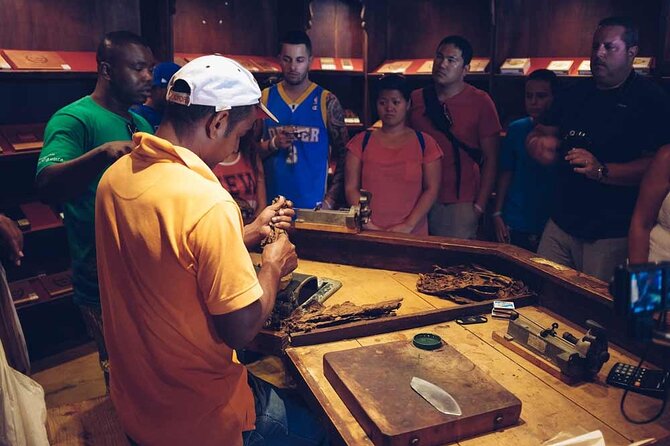 Punta Cana: Samaná, Lemon Falls and Bacardi Island - Small group of up to 15: how it changes the vibe