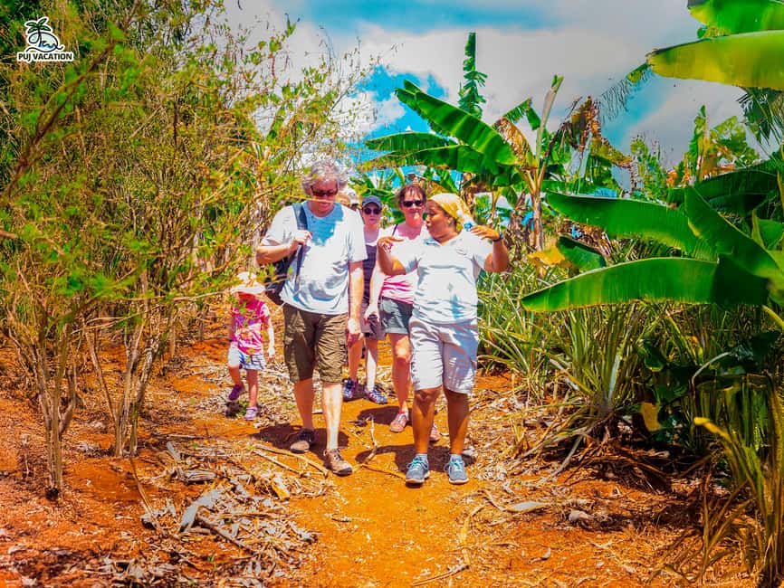 Punta Cana: Samana safari between waterfalls and beaches - From Punta Cana to Miches: the early start that shapes the whole day