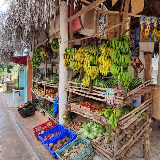 Punta Cana: Samana safari between waterfalls and beaches - El Limón waterfall: hike it, and keep your footing game strong