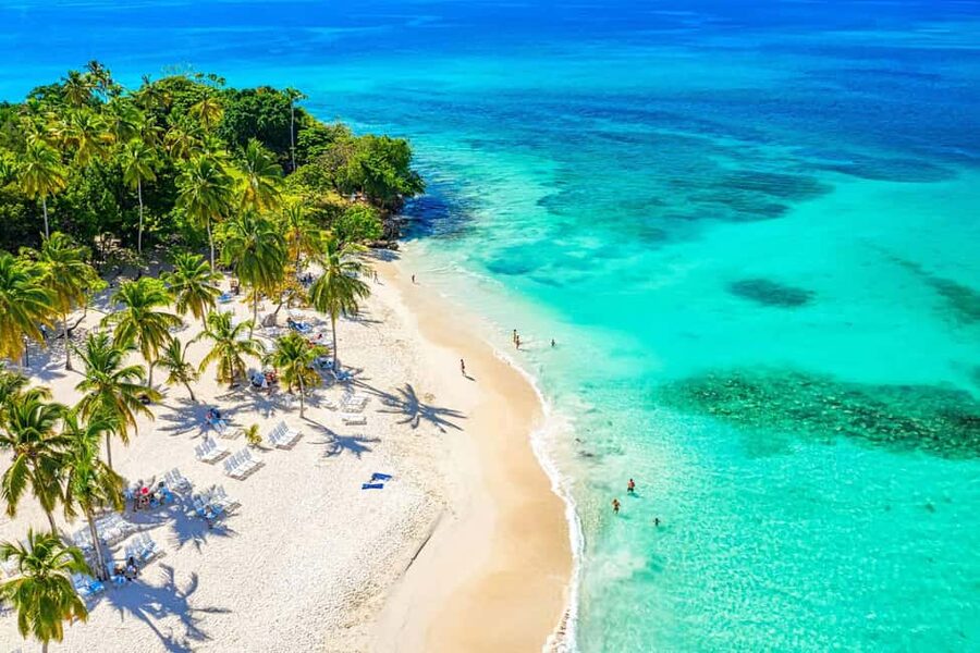 Punta Cana: Samaná Whale Watching, Bacardi & Limon Falls - Key Things That Make This Samaná Day Trip Work