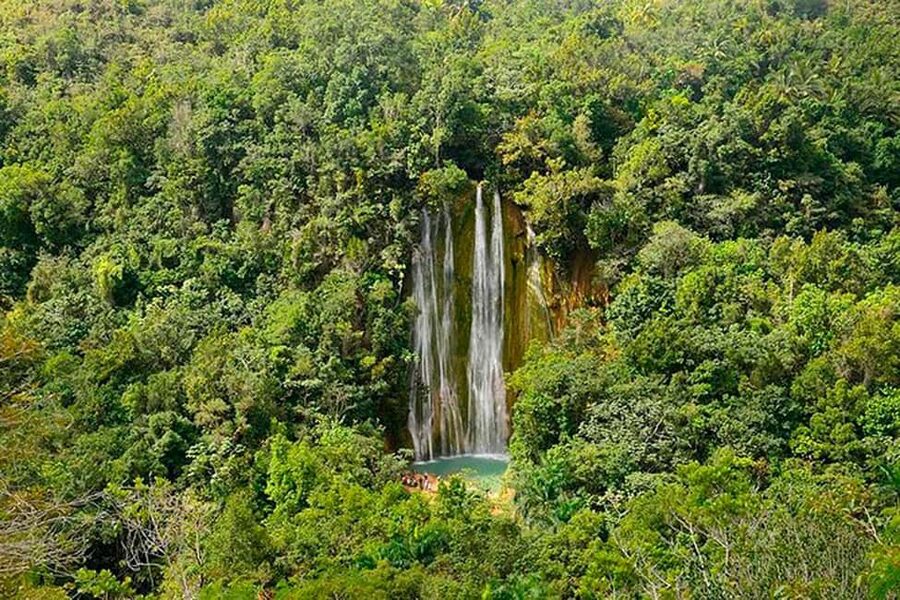 Punta Cana: Samaná Whale Watching, Bacardi & Limon Falls - Limón Waterfall Up Close: Walking, Swimming, and Muddy Reality