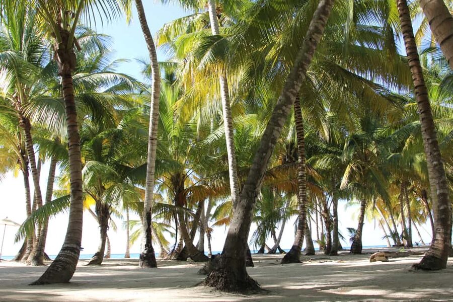Punta Cana: Saona Island and Altos de Chavón Day Trip - La Güira Cafe stop: shopping time and how to handle it