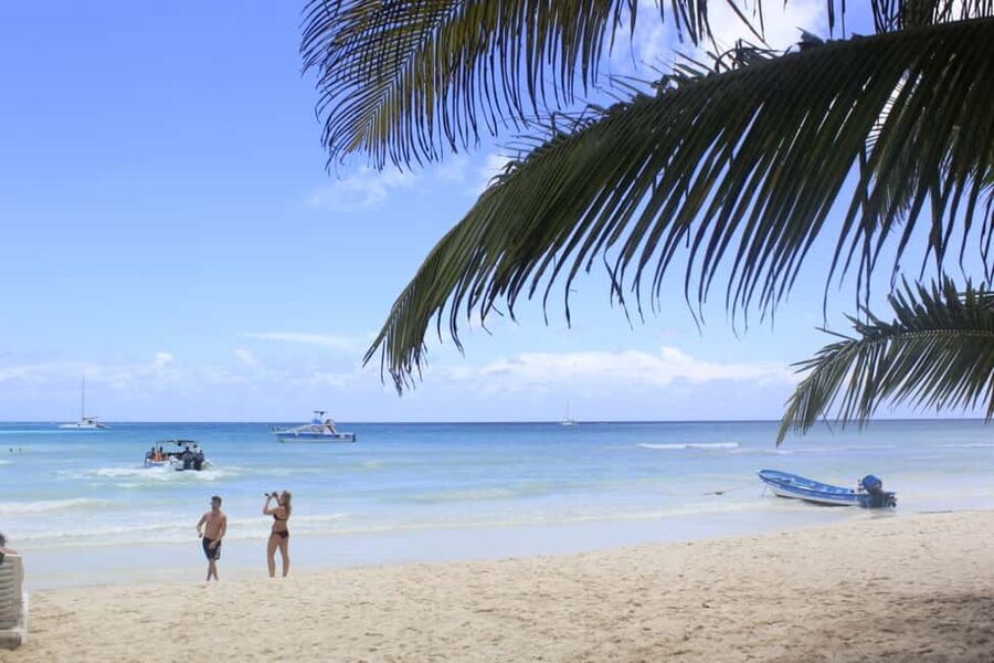 Punta Cana: Saona Island and Altos de Chavón Day Trip - Saona Island in the East National Park: what the guided beach time is really like
