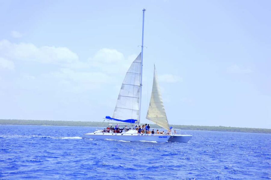Punta Cana: Saona Island and Altos de Chavón Day Trip - Buffet lunch, unlimited drinks, and a smarter way to pace the day