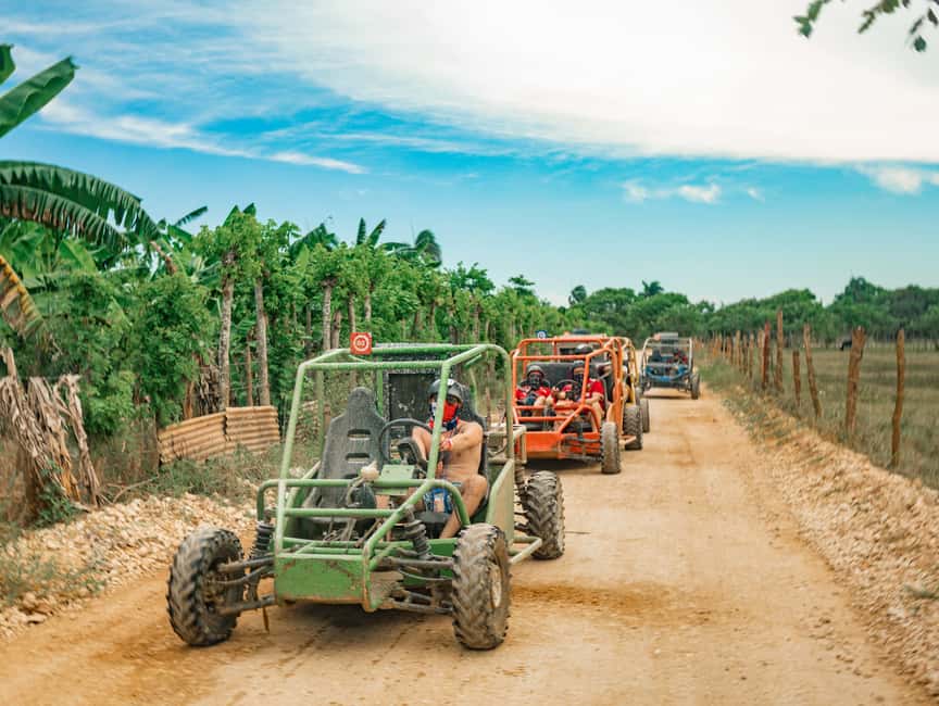 Punta Cana: Saona Island and Buggy Combo - Natural Pool Stop: The Best Payoff for Water-Lovers