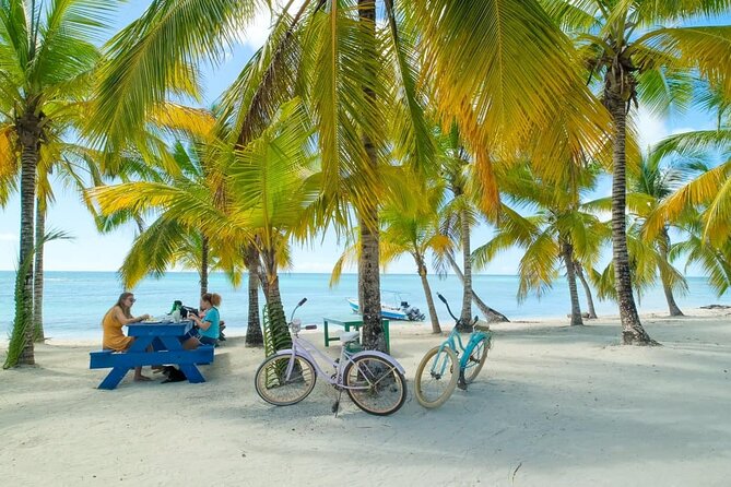 Punta Cana: Saona Island Catamaran Open Bar / Food Hotel Pickup - Entering the Saona Day: What This Trip Actually Feels Like