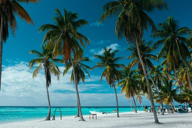 Punta Cana: Saona Island Catamaran Open Bar / Food Hotel Pickup - Saona Island Beach Time: Relax, Swim, and Watch the Clock