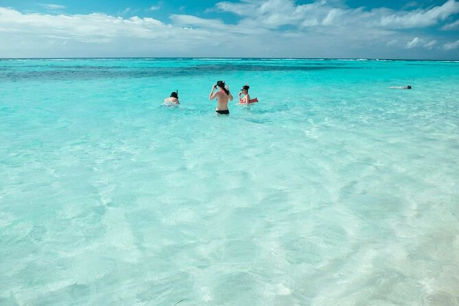 Punta Cana: Saona Island Catamaran Open Bar / Food Hotel Pickup - Open Bar and On-Board Fun: The Good Vibe, With Realistic Limits