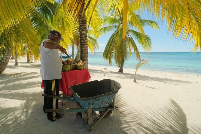 Punta Cana: Saona Island Catamaran Open Bar / Food Hotel Pickup - Photo Sales on the Side: Use Your Phone and Avoid Sticker Shock