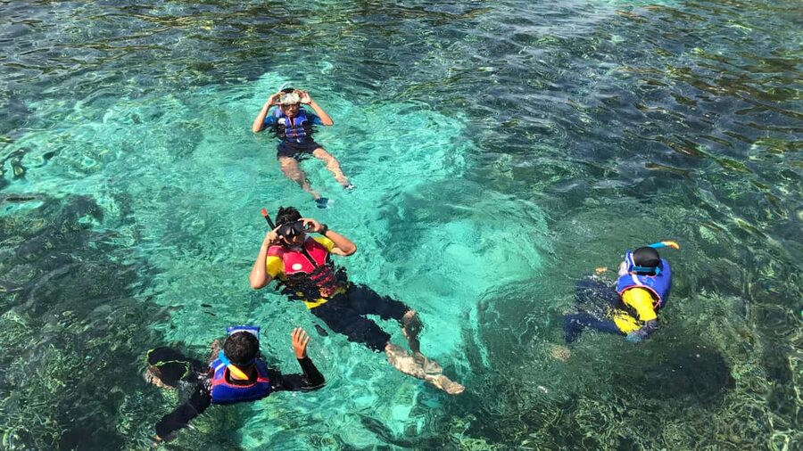 Punta Cana: Saona Island Catamaran Tour with Food & Open Bar - Photos, souvenirs, and what is not part of the tour