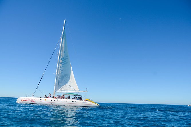 Punta Cana : Saona Island Day Tour - Key highlights worth knowing before you go